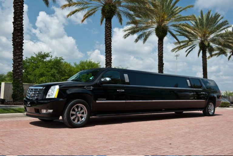 Party Limo